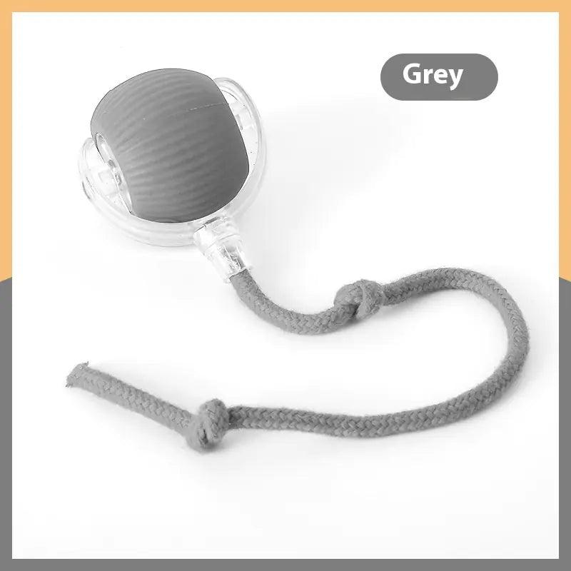 Interactive Cat Ball Toy