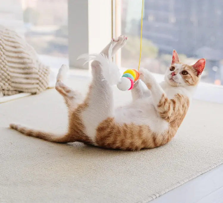 Hanging Cat Toy Feather Wand